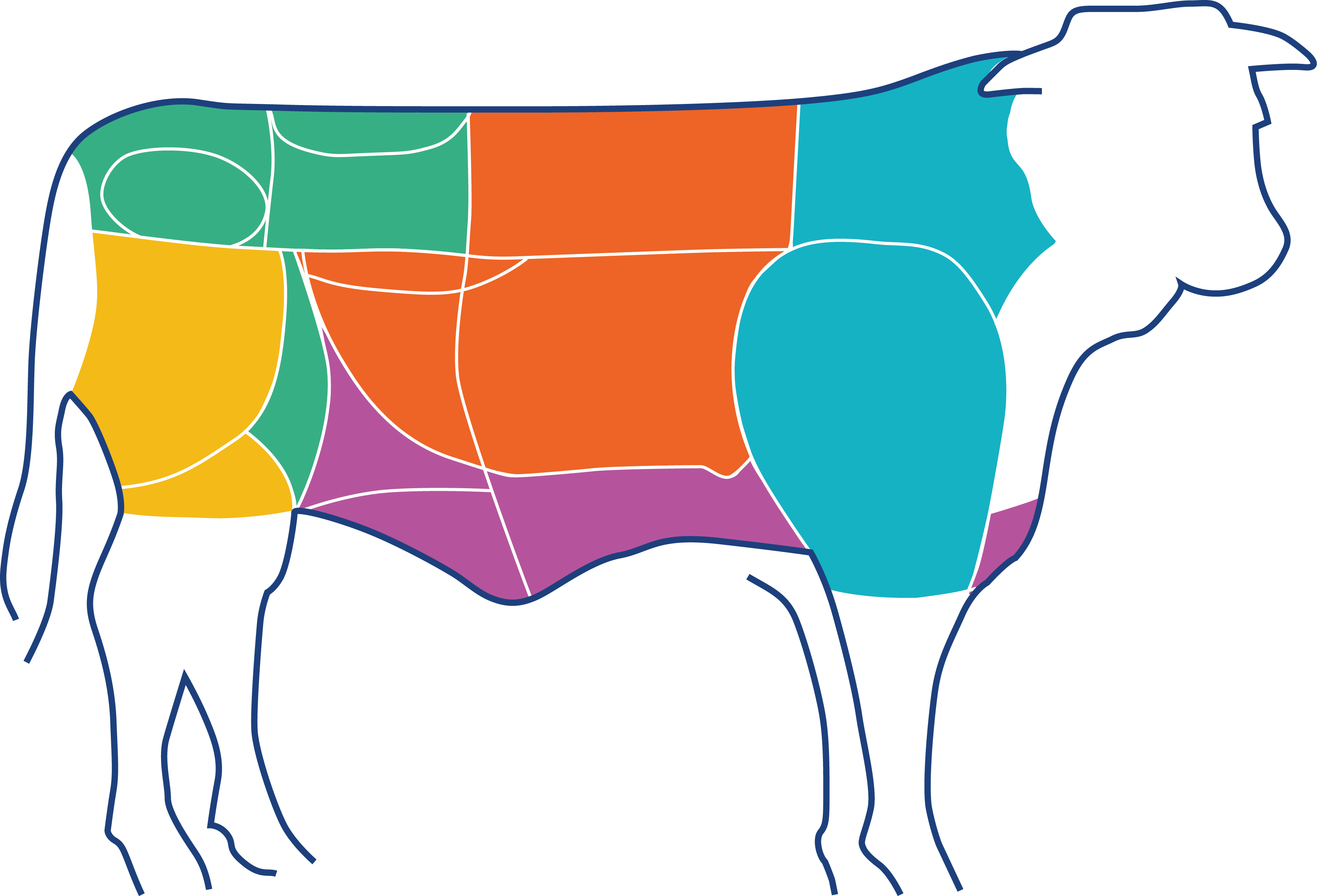 Beef Cuts-Tooltip mode