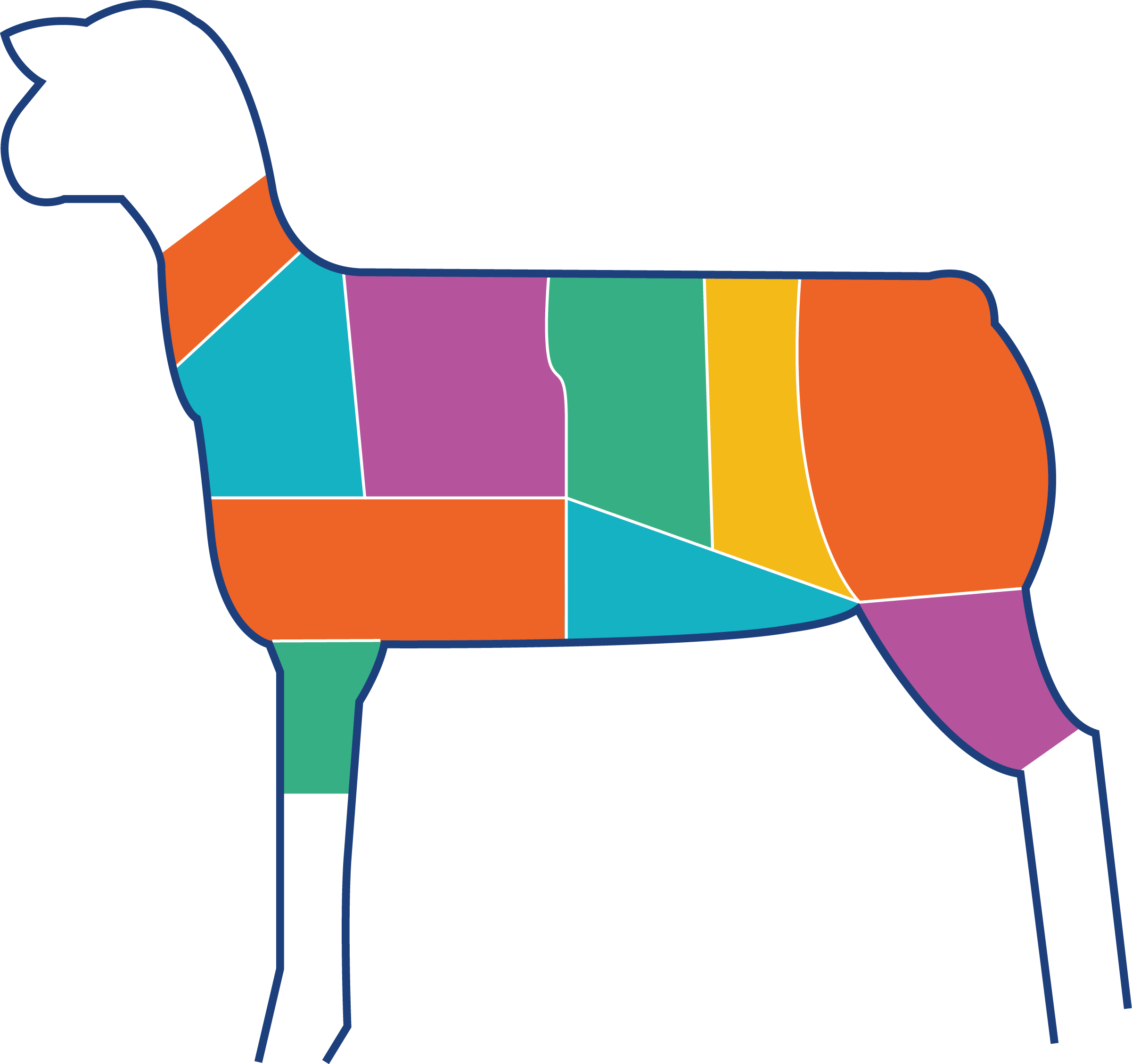 Lamb Cuts – tooltip mode